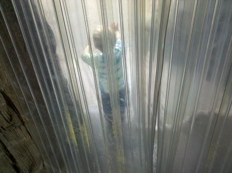 2010-05-29 13.18.39.jpg